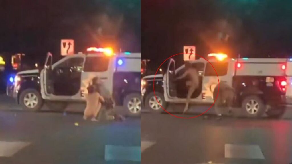 Naked Man Steals Police Patrol Car And Runs Away Vo Truong Toan High