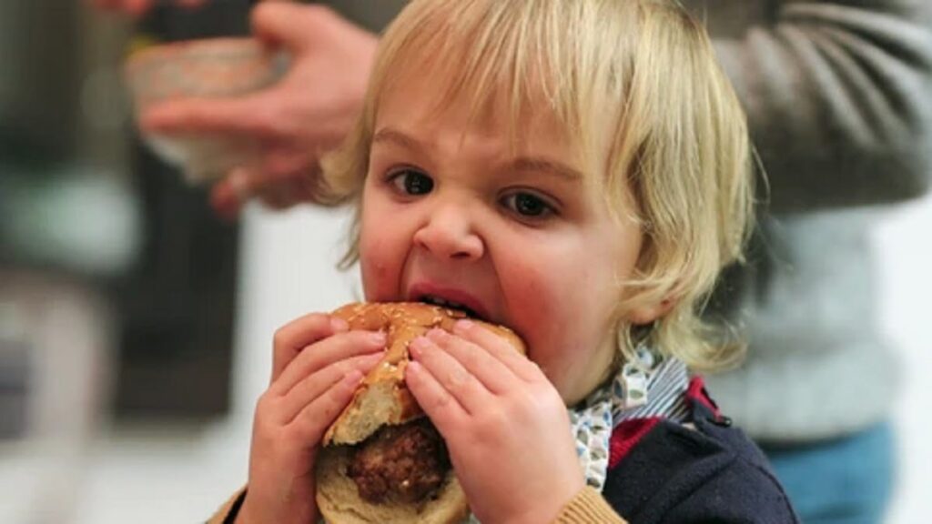 Baby Hamburger viral video: What is it about?  here what we know
