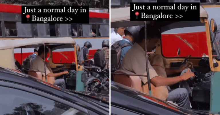 Dog Rests On Car Driver’s Lap In Bangalore Traffic, Adorable Video Goes Viral