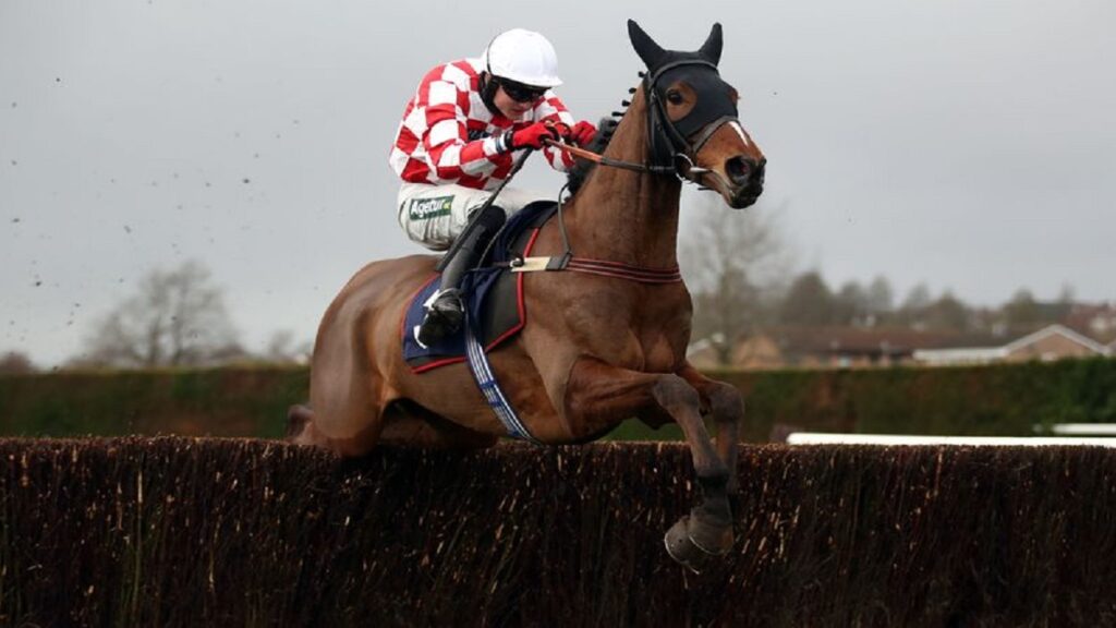 Did any horse die in the National? Which horses died in Grand National ...