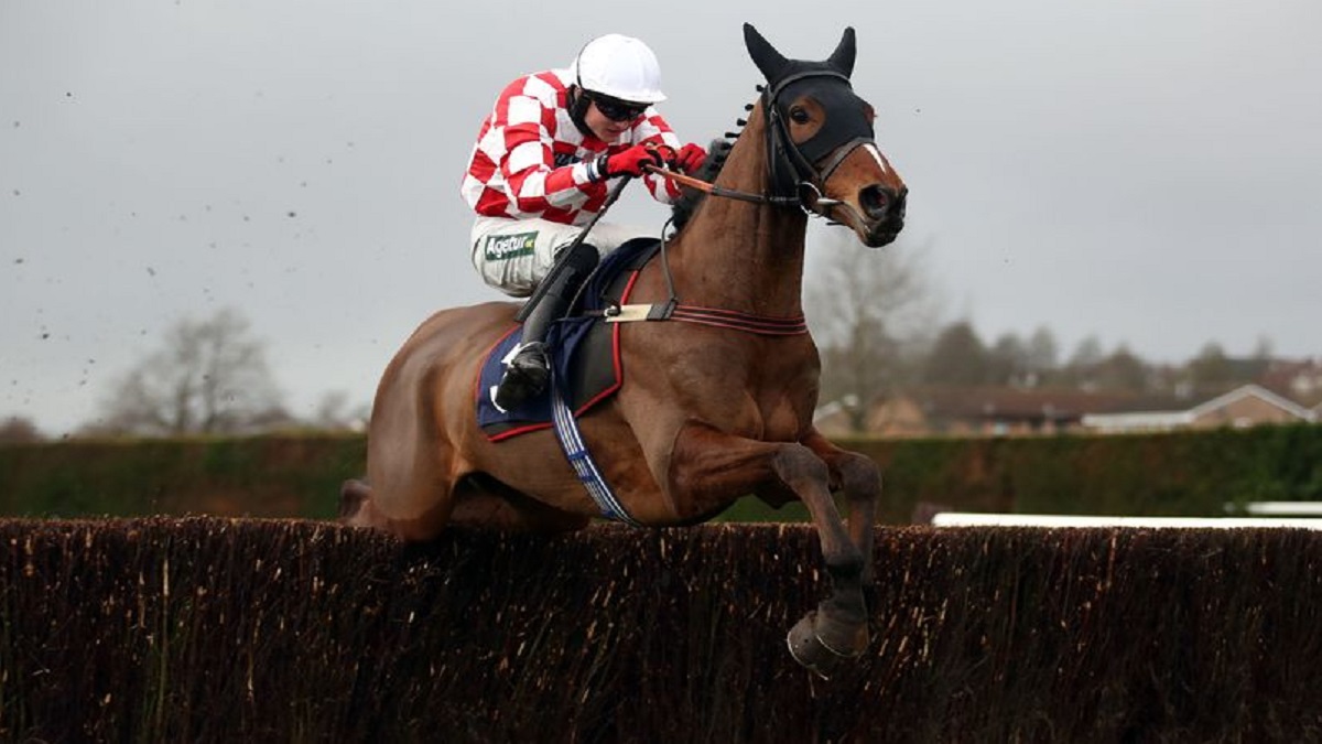 Did any horse die in the National? Which horses died in Grand National