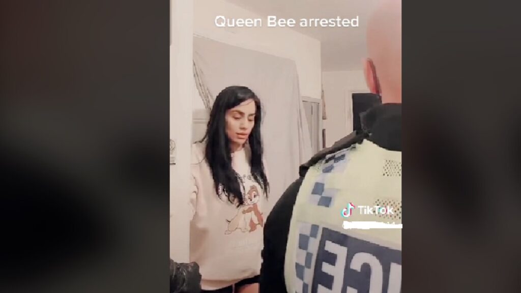 Is The Queen Bee Arrested? TikTok Star Arrest Video Goes Viral On ...