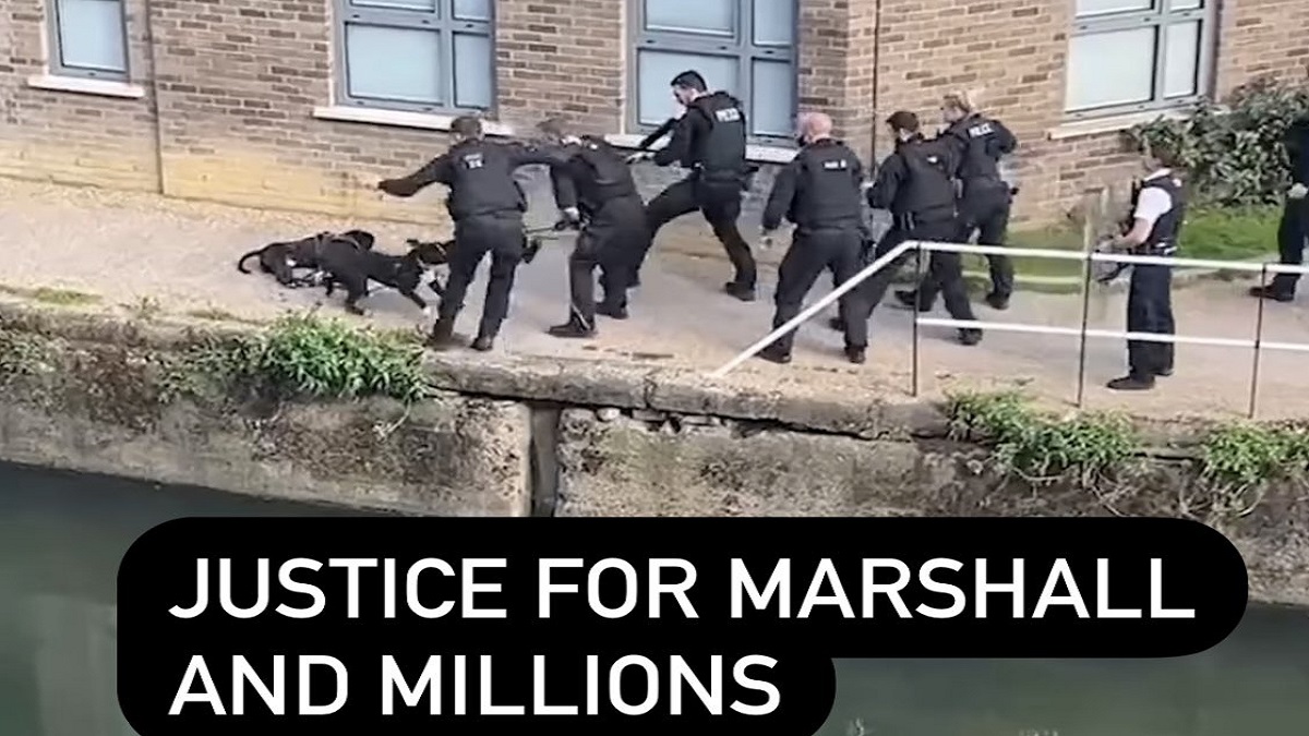 LOOK: Video of Marshall and Millions, could it have been prevented?