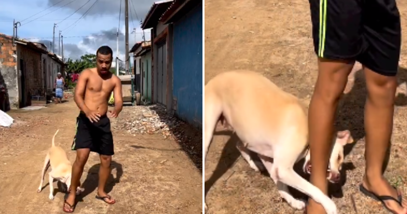 Man tries to dance for reels while his dog playfully bites him, viral funny moment
