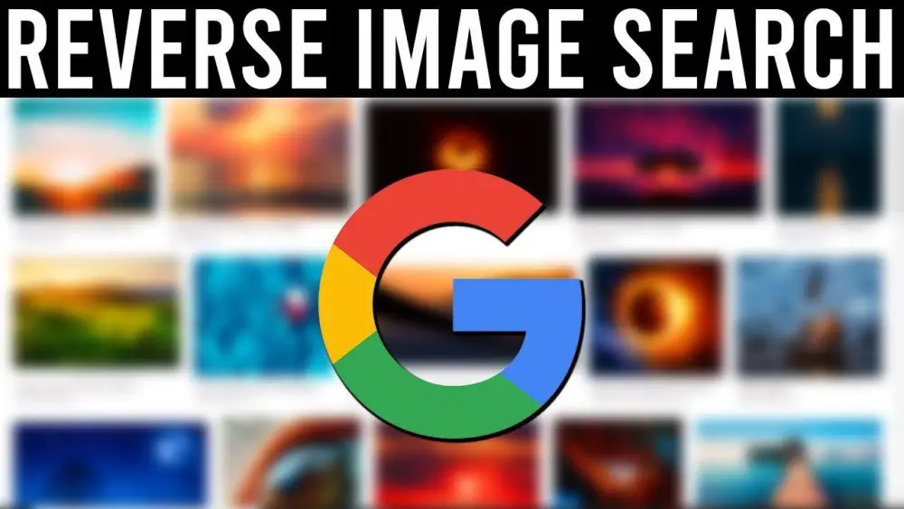 Reverse image search is the ultimate solution to track your images