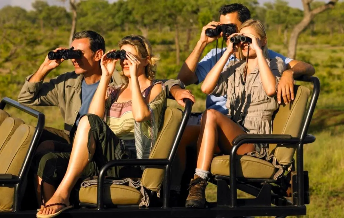 Best Binoculars under $50 in 2022