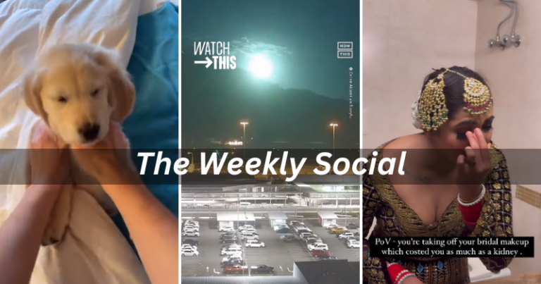 The Weekly Social: Your weekly dose of viral video goodness