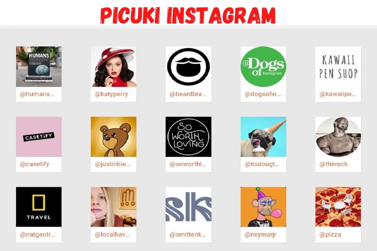 Top 100 Alternatives to Picuki to Find Instagram Photos and Videos