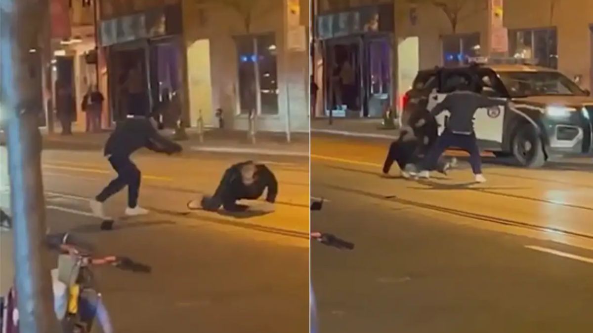 watch-toronto-man-uses-his-pet-python-as-weapon-in-street-fight-internet-shocked