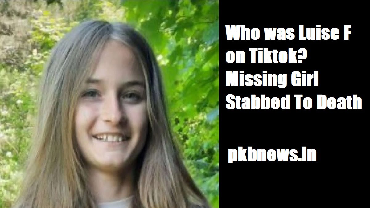 Who was Luise F on Tiktok?  Missing girl stabbed to death