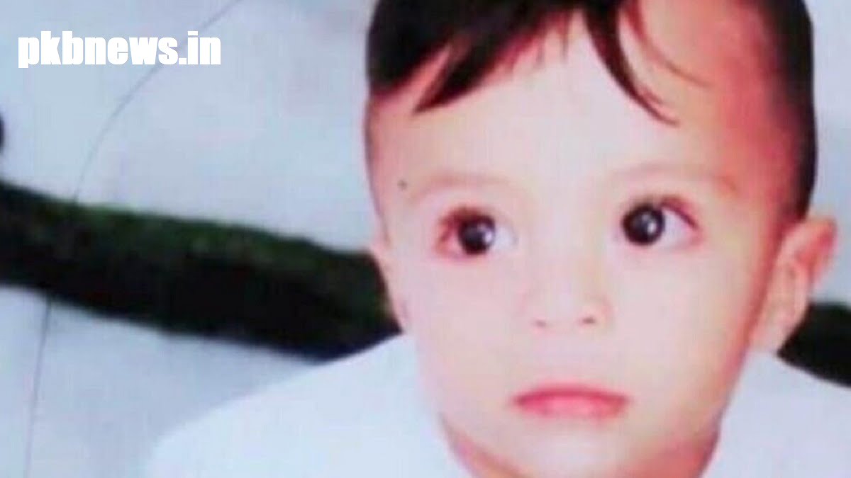 3-year-old boy dies in car Toddler found dead in car Sydney