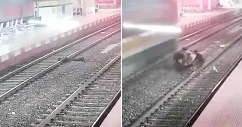 A quick-thinking RPF agent saves a man's life and prevents a catastrophic train accident