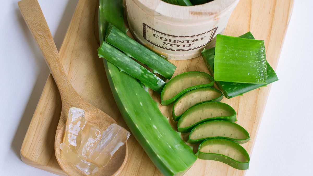 aloe-vera-for-skincare-5-ways-to-use-this-natural-ingredient-during-summer