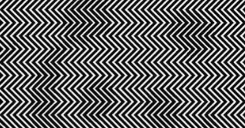Awesome visual trick: can you spot the panda hidden in this zig-zag pattern?
