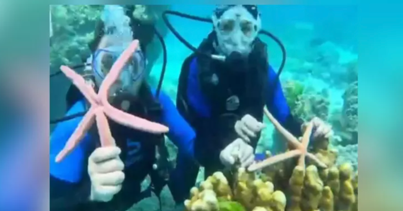 Chinese tourists jailed for clicking photos with starfish in Thailand