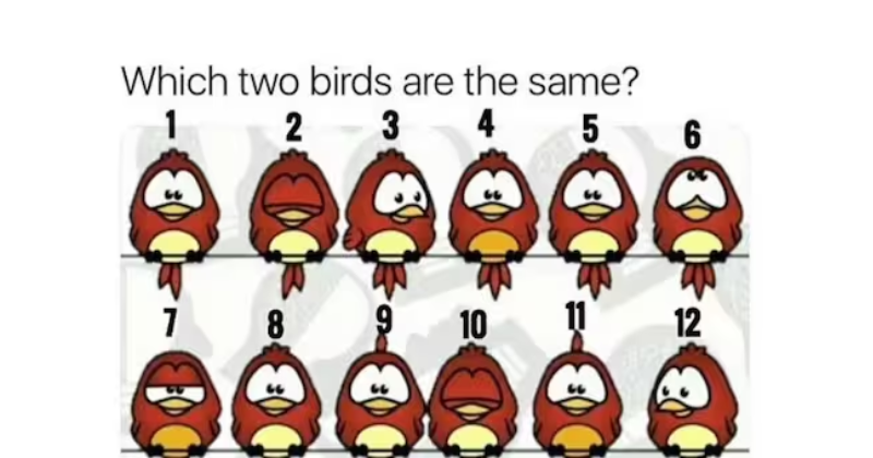 Find the Match: Can you identify the two birds that look alike in this picture?