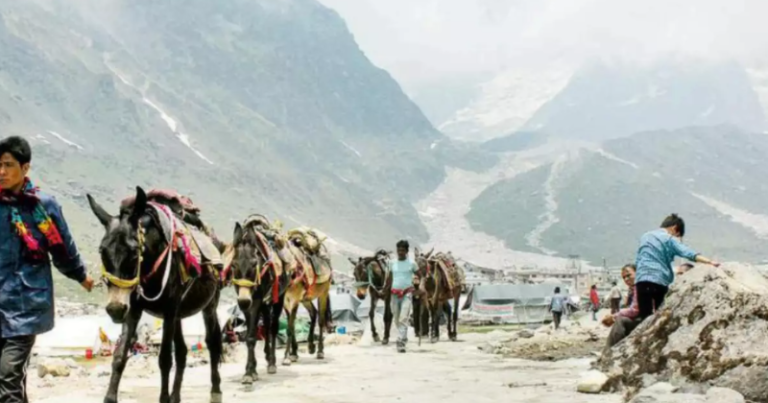 Haunting video allegedly shows men forcing a horse to smoke marijuana on the road to Kedarnath