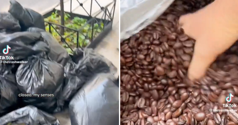 New York local finds Starbucks food thrown in garbage bags on the streets and restocks his entire pantry