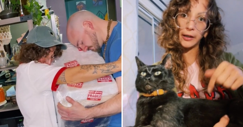Oregon woman pays nearly Rs 3 lakhs to freeze-dry her dead cat so they can be 'together forever'