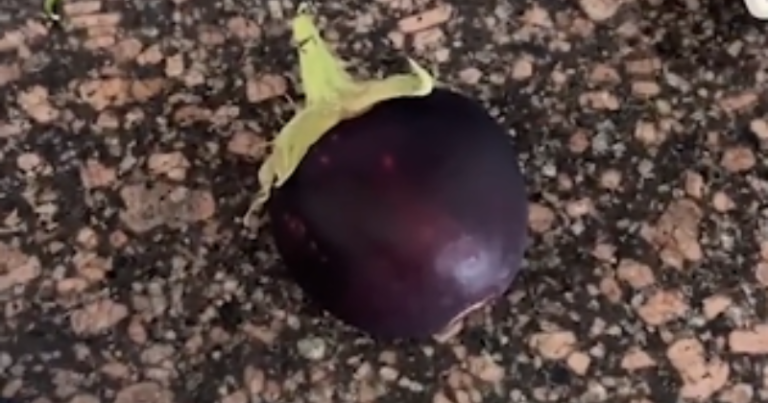 Roasting gone wrong: Woman asks her sister to roast the eggplant she bought, she does this