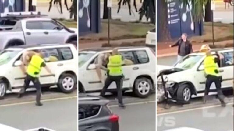 Strathpine Arrest Video Shows Recorded Officer Beating Man Before Using Taser