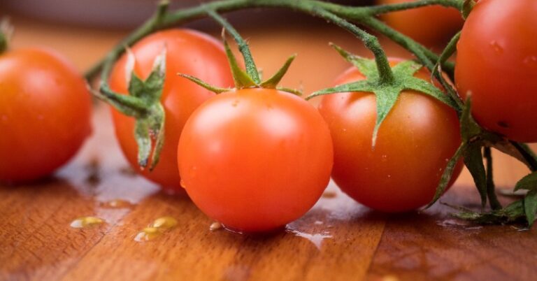 The most expensive tomato seeds in the world sell for Rs 3 crores per kg