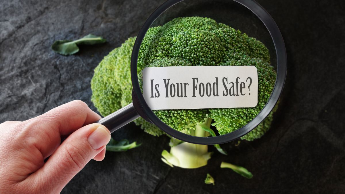 world-food-safety-day-2023-key-factors-of-food-safety-that-you-must-know