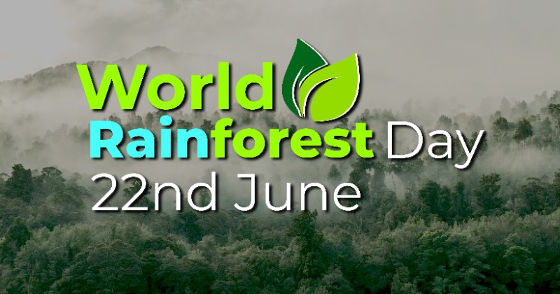 World Rainforest Day 2023: Rainforest Day date, theme, story, quotes and slogans to share