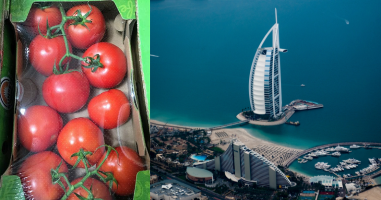 Dubai-based daughter surprises her mother in India with a huge gift of 10kg tomatoes