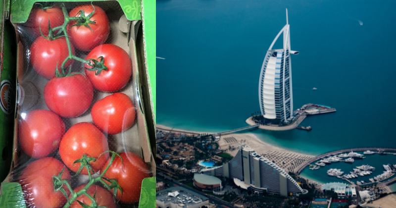 Dubai-based daughter surprises her mother in India with a huge gift of 10kg tomatoes