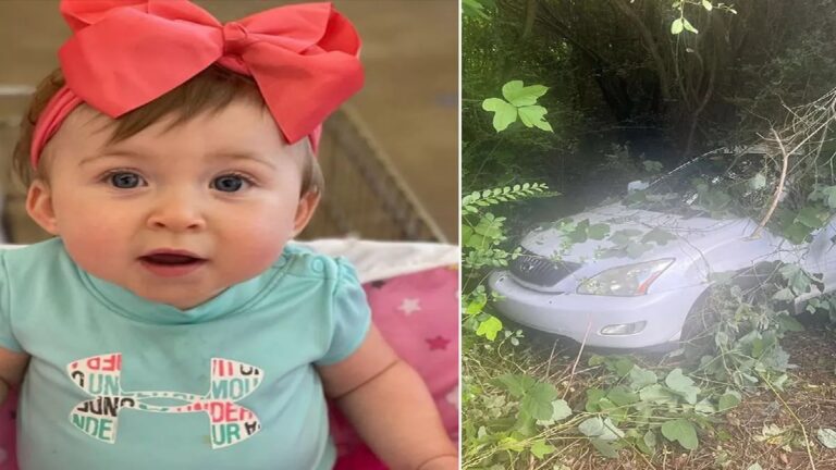 Harlow Freeman Found Safe In Alabama: Where Was Harlow Freeman Found?