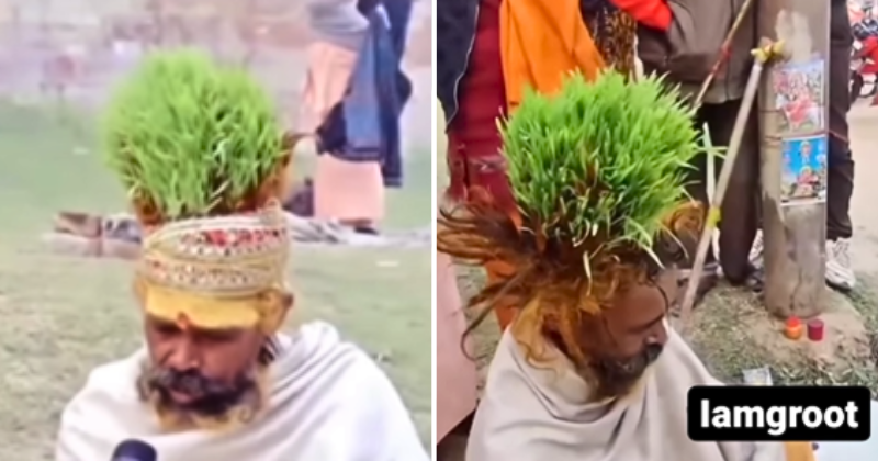 I am Groot - Man grows vegetables on his head, says roots often tear his scalp