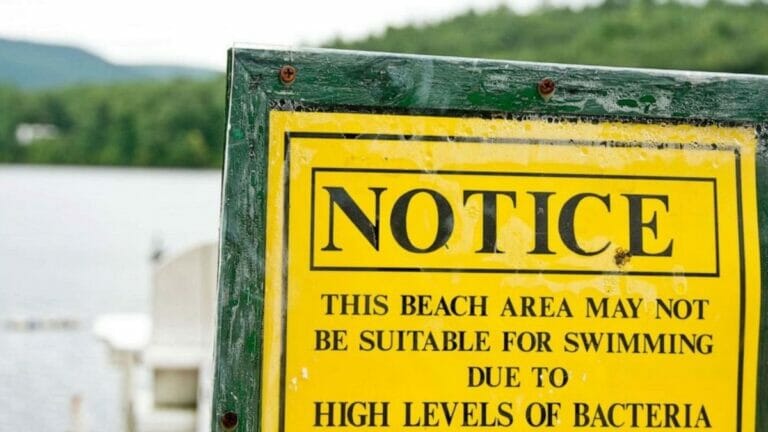 Massachusetts Beaches Closed Due to List of Bacteria Scanned