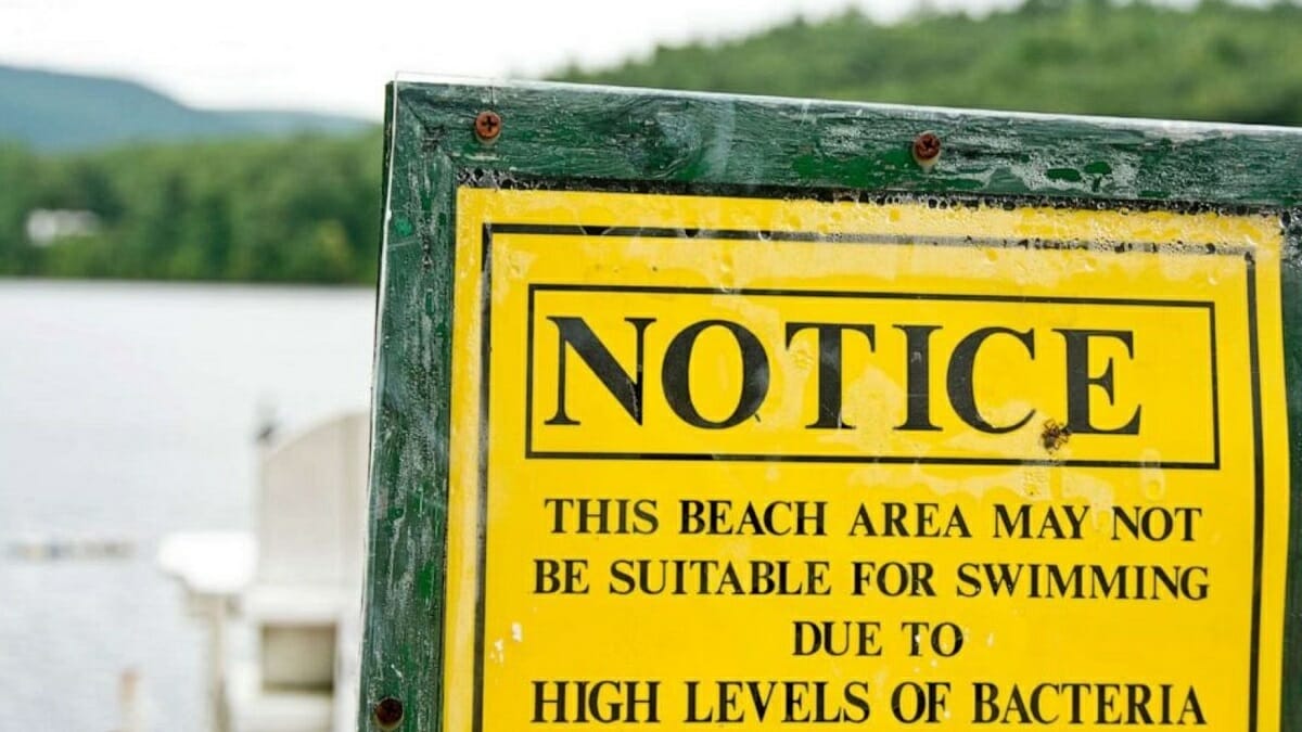 Massachusetts Beaches Closed Due to List of Bacteria Scanned