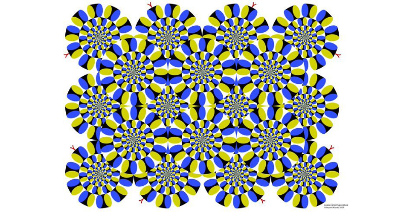Optical Illusion: Are These Circles Moving Or Static?