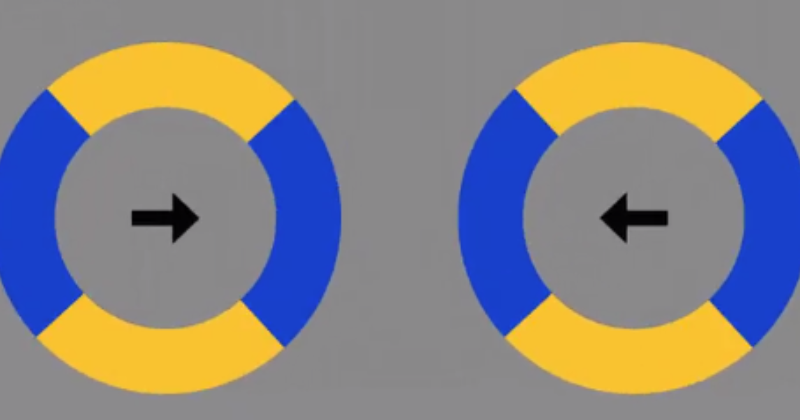 Optical Illusion: Can You Tell At A Glance If These Disks Are Moving?