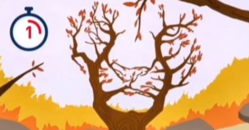 Optical illusion: tiger or tree, whichever you see first will reveal your hidden personality traits