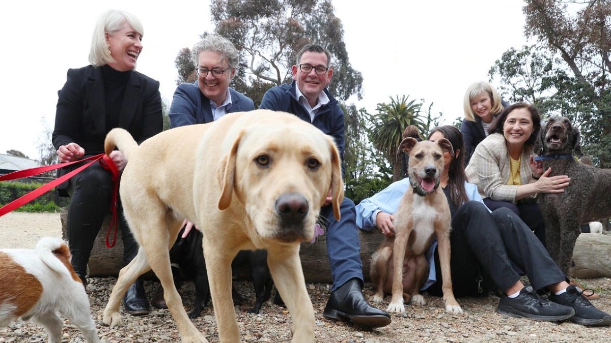Pet Census Victoria: Australia's first pet census takes place