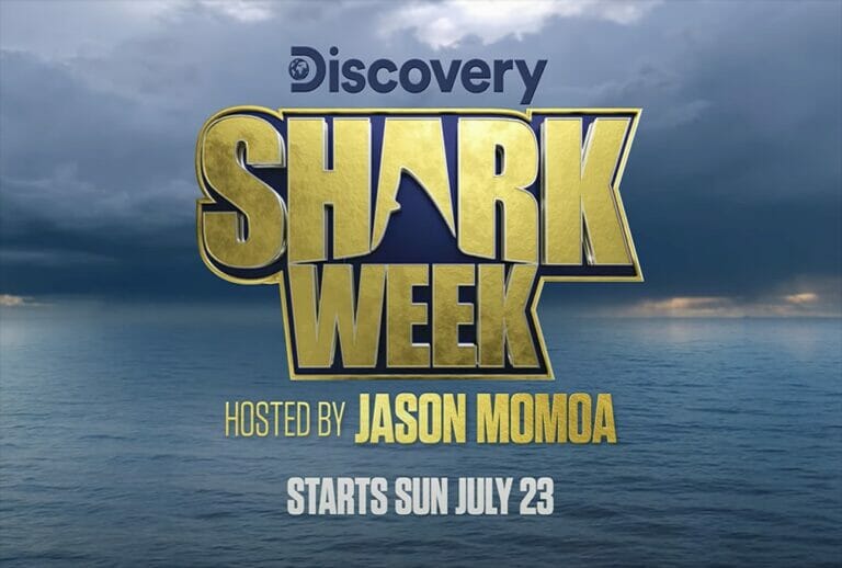 Shark Week 2023 Discovery Channel: Where to watch without cable TV and without schedules