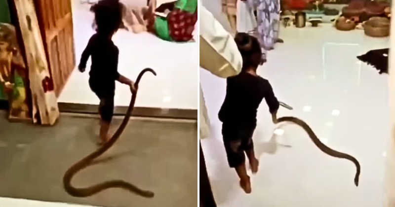 Tarzan in real life!  Boy Casually Drags Snake Into His House, Internet Praises Boy's IDGAF Attitude