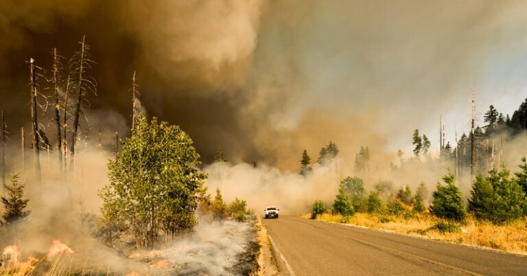 ‘Time Traveler’ makes startling predictions, claims it knows when the worst natural disasters will strike next year