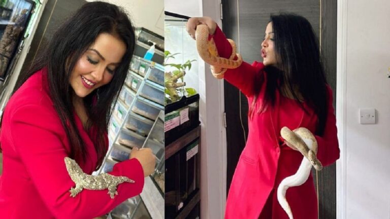 Who is Devendra Fadnavi’s wife Amruta?  Reptile photo goes viral on social media