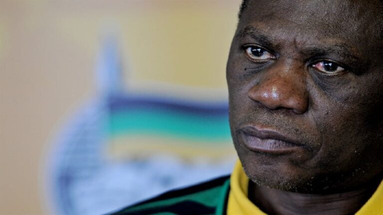 Who is Paul Mashatile’s son-in-law, Nceba Nonkwelo?  Gauteng MEC Maile orders investigation into son-in-law’s company