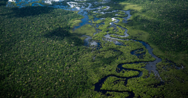 Brazil’s Amazon Deforestation Plunged 66% In July, Reaching A Six-year Low