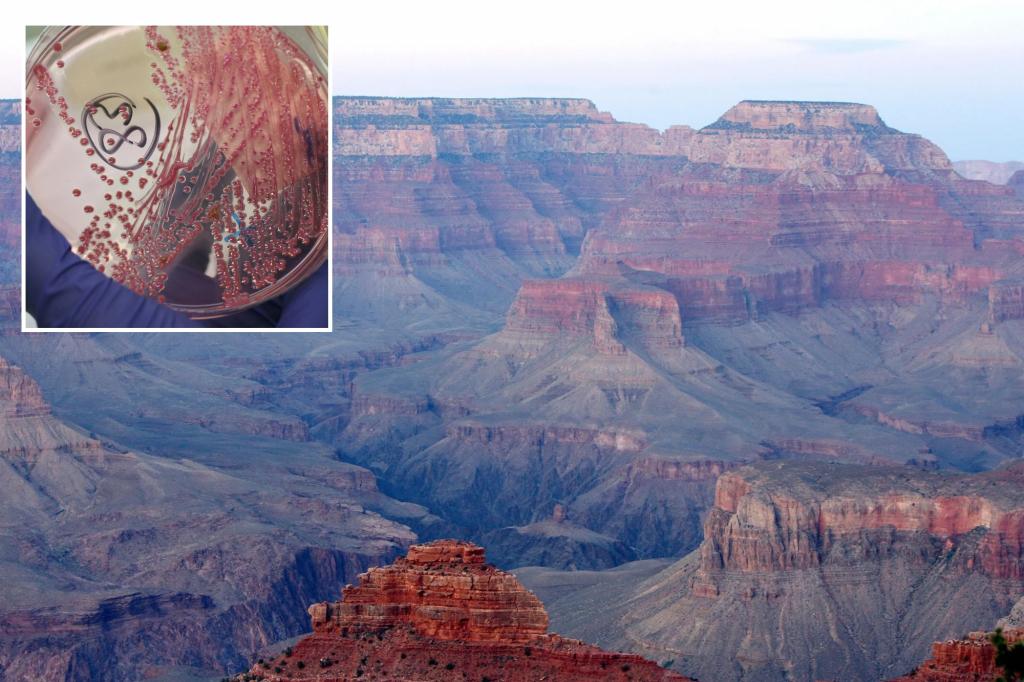 E.coli Bacteria Detected in Grand Canyon National Park Water Supply