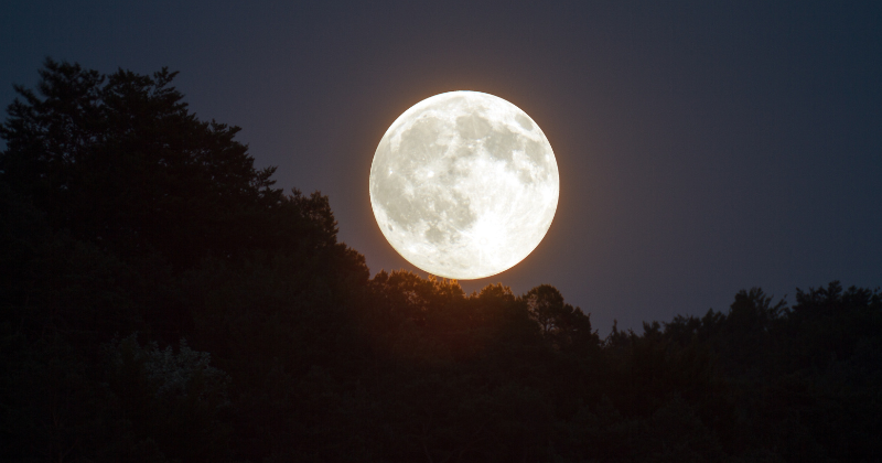 Mark Your Calendar: A Super Blue Moon Will Grace The Skies Next Week