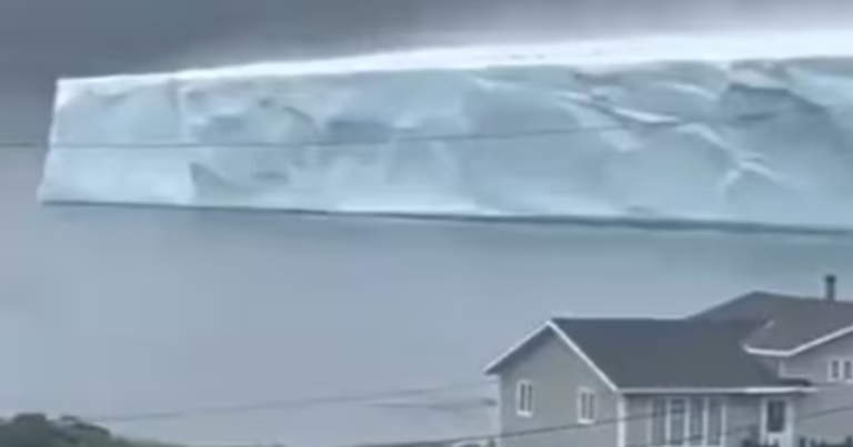 Nature’s Marvel: Massive Iceberg Seen Approaching Canadian Island Of Newfoundland, Viral Video Amazes The Internet