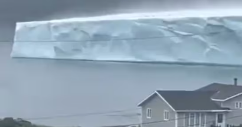 Nature's Marvel: Massive Iceberg Seen Approaching Canadian Island Of Newfoundland, Viral Video Amazes The Internet