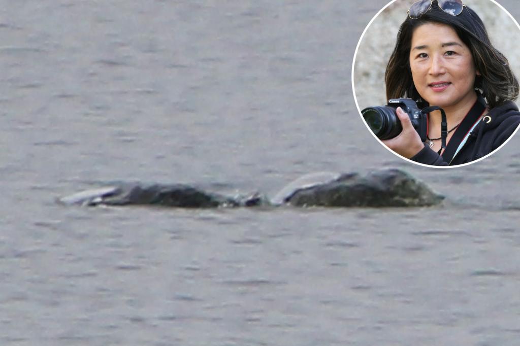New 'sighting' of the Loch Ness monster captured in the 'most exciting' photographs ever seen