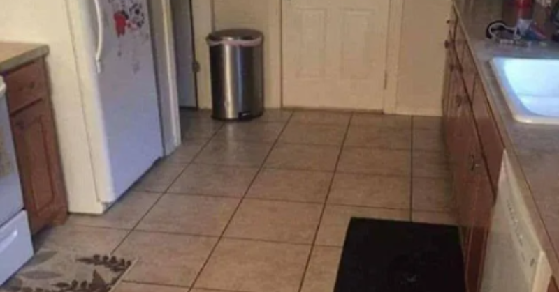 Optical Illusion Challenge: You've Got 10 Seconds To Find The Dog Hiding In The Kitchen
